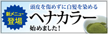 ヘナカラー始めました！